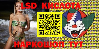 прущие крисы Донской