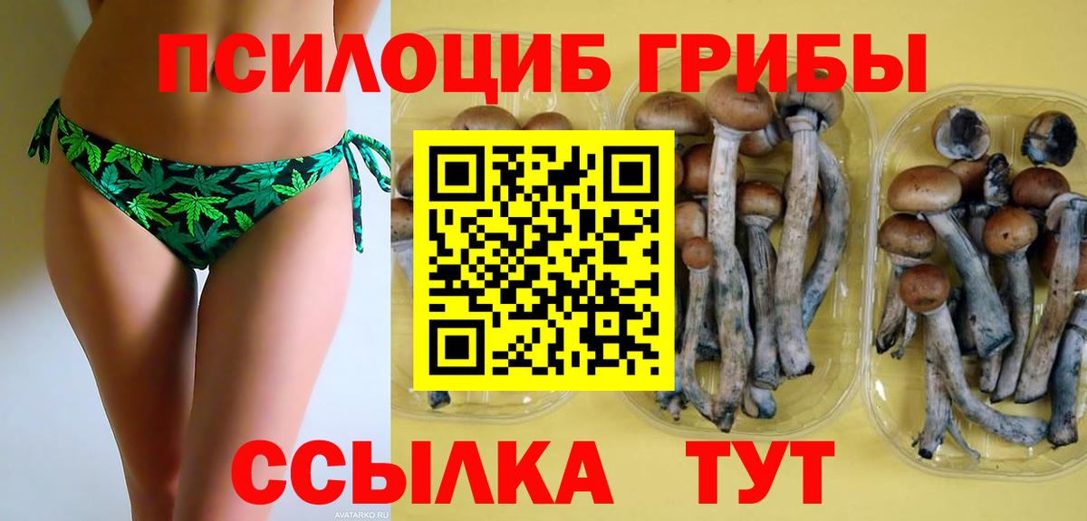 Лабинск  Псилоцибиновые грибы MAGIC MUSHROOMS  купить закладку  Вход с VPN 